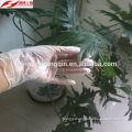 Vinyl/PVC powder free gloves professional manufacturer